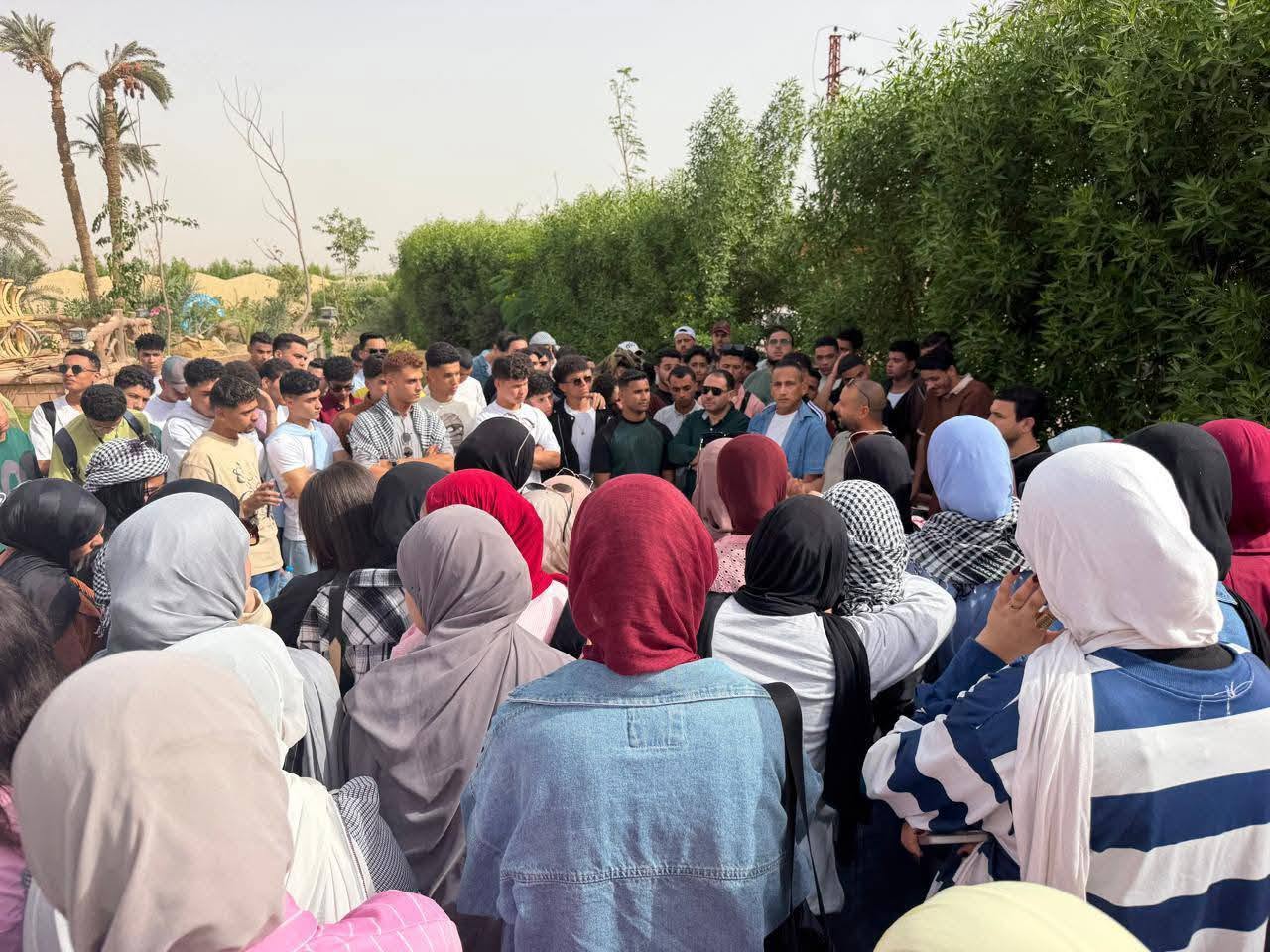 صورة الخبر