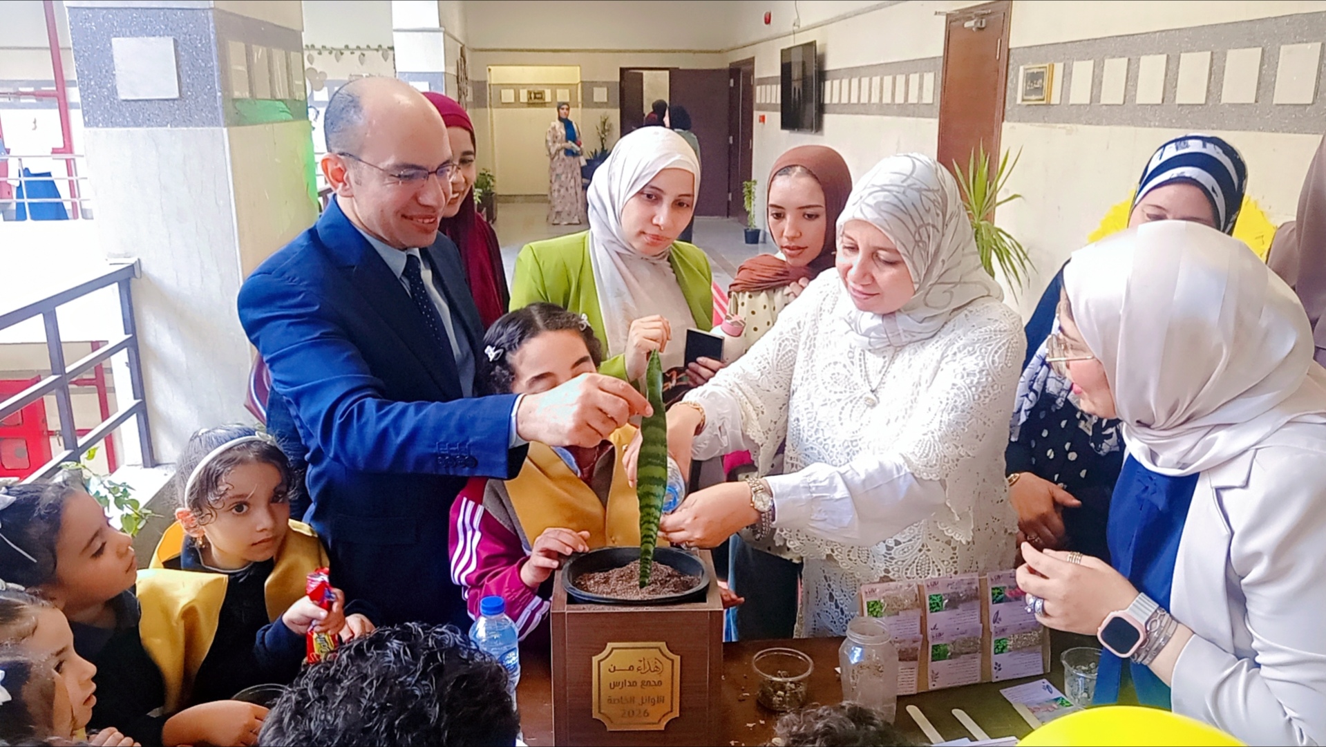 صورة الخبر