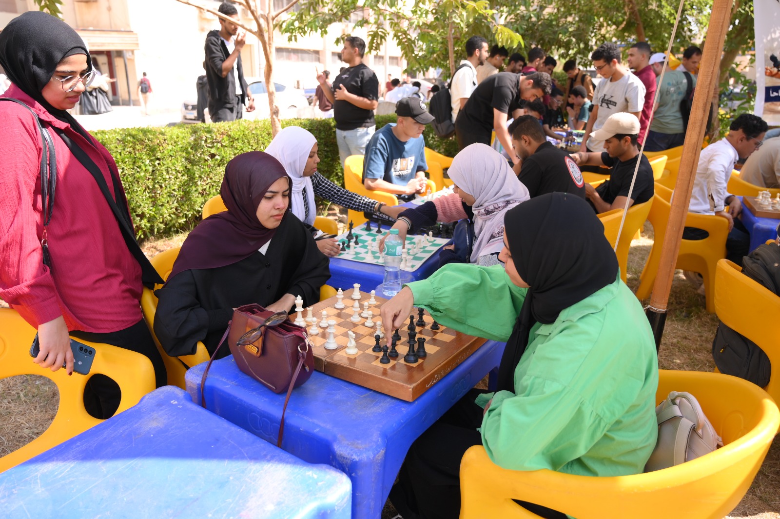 صورة الخبر