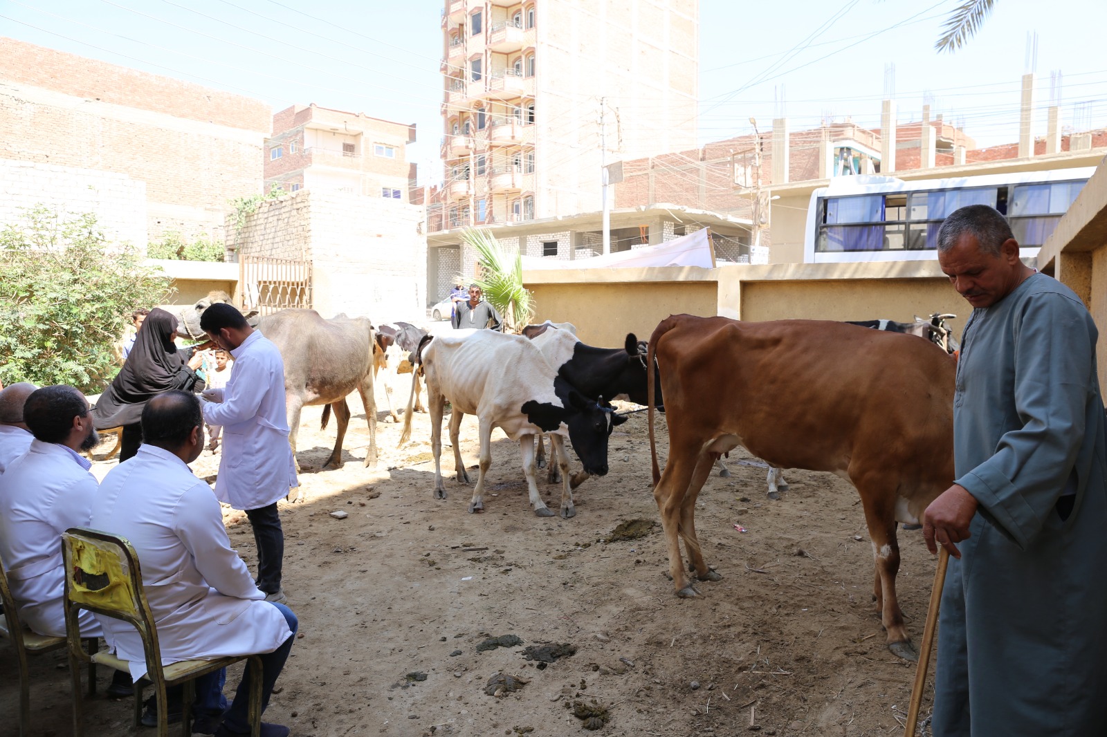 صورة الخبر