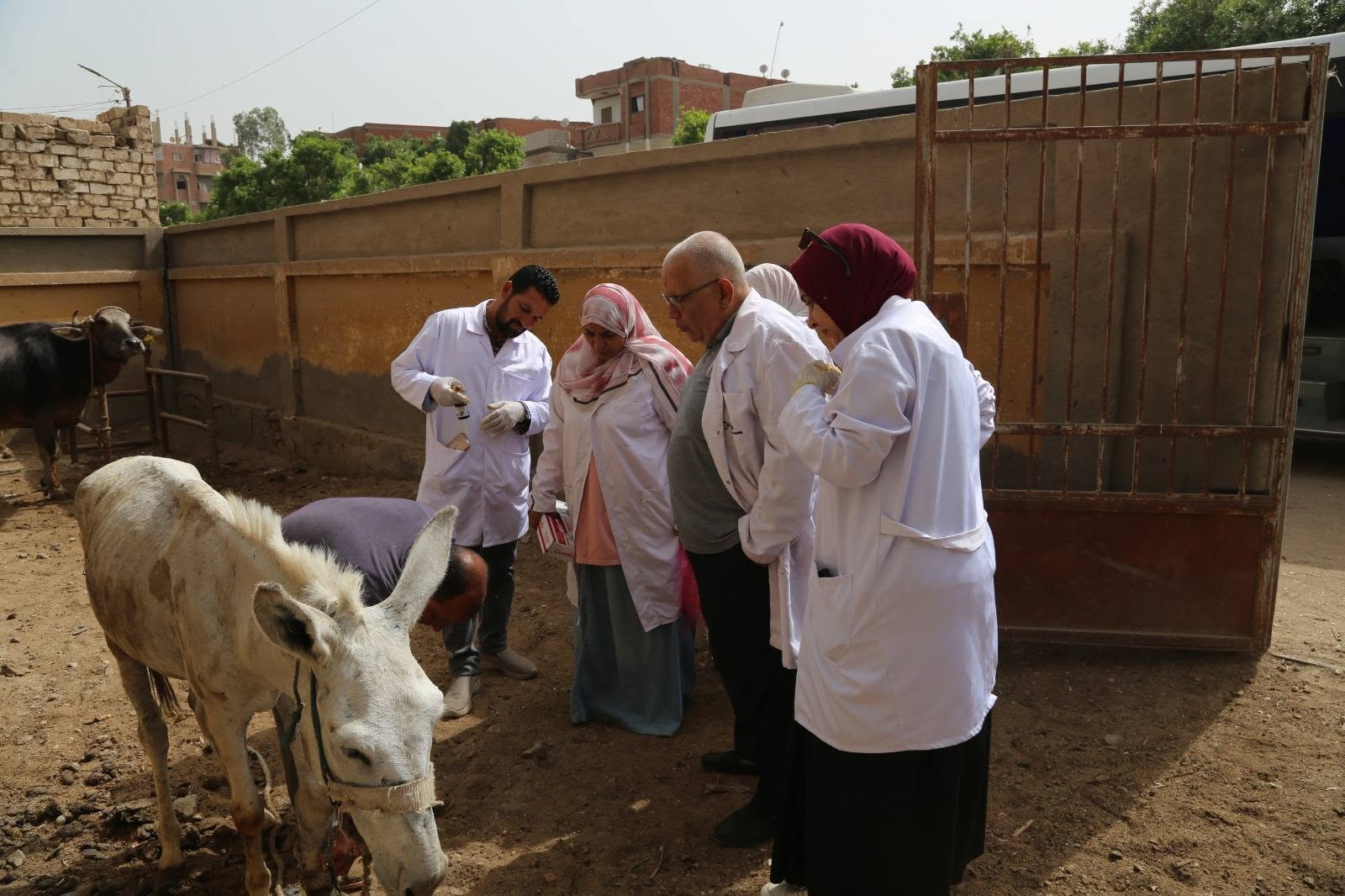 صورة الخبر