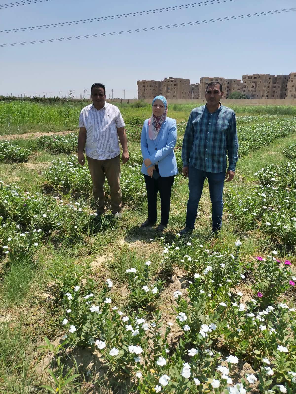صورة الخبر
