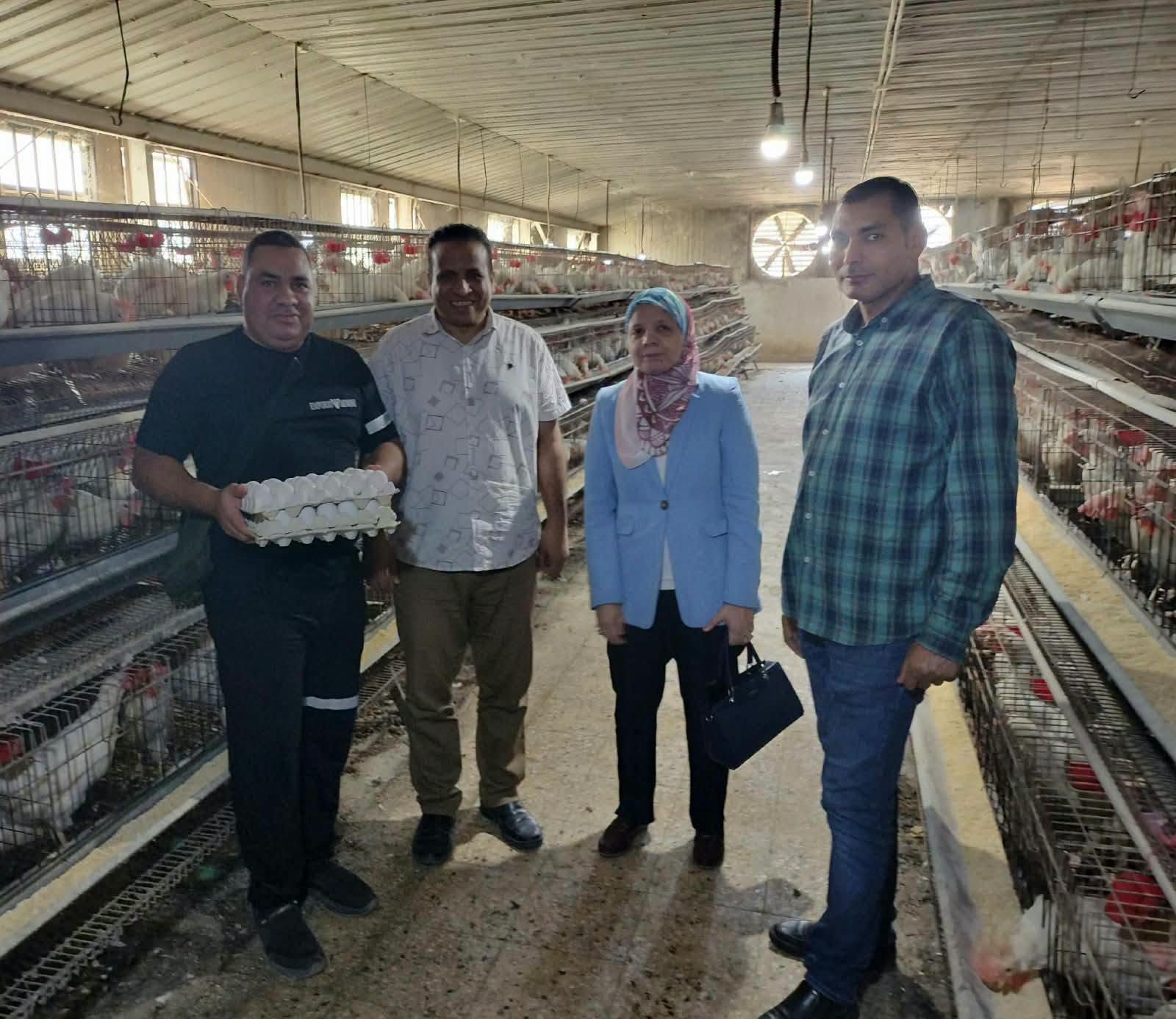 صورة الخبر