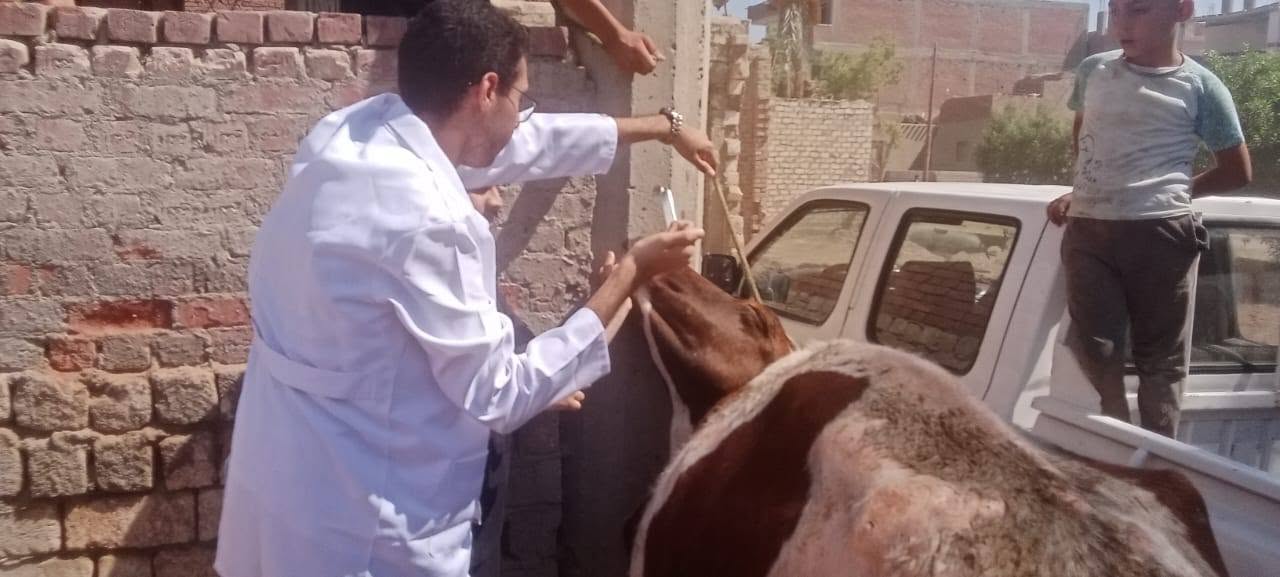 صورة الخبر