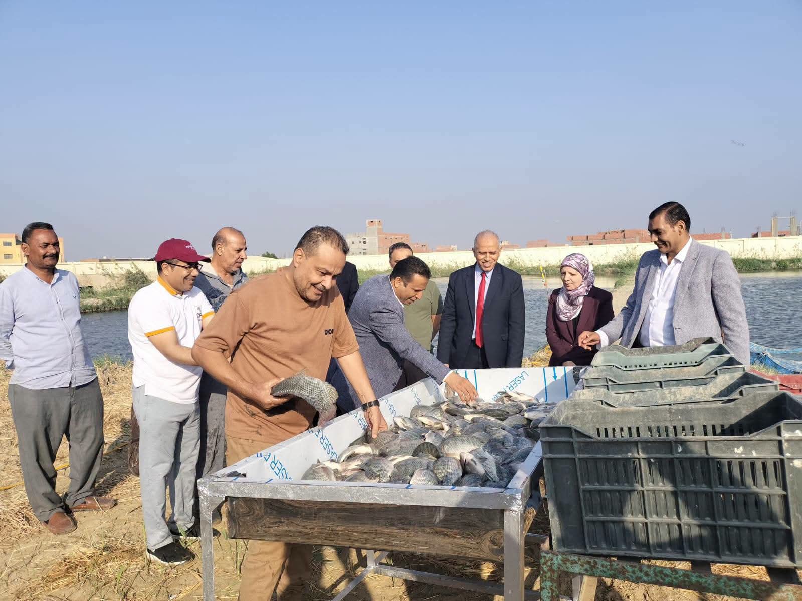 صورة الخبر