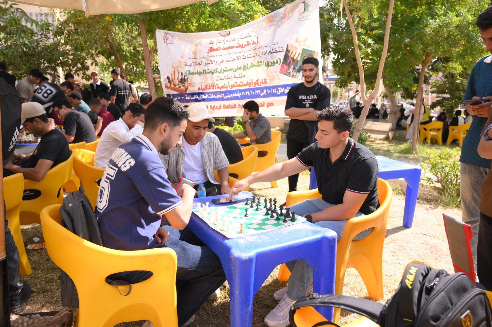 صورة الخبر