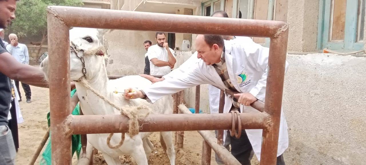صورة الخبر