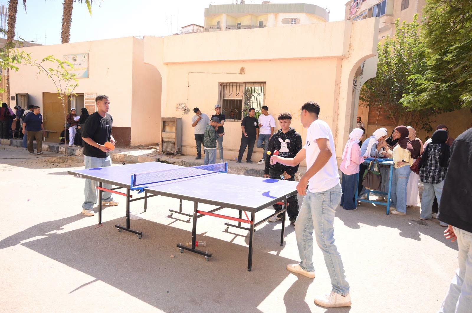 صورة الخبر