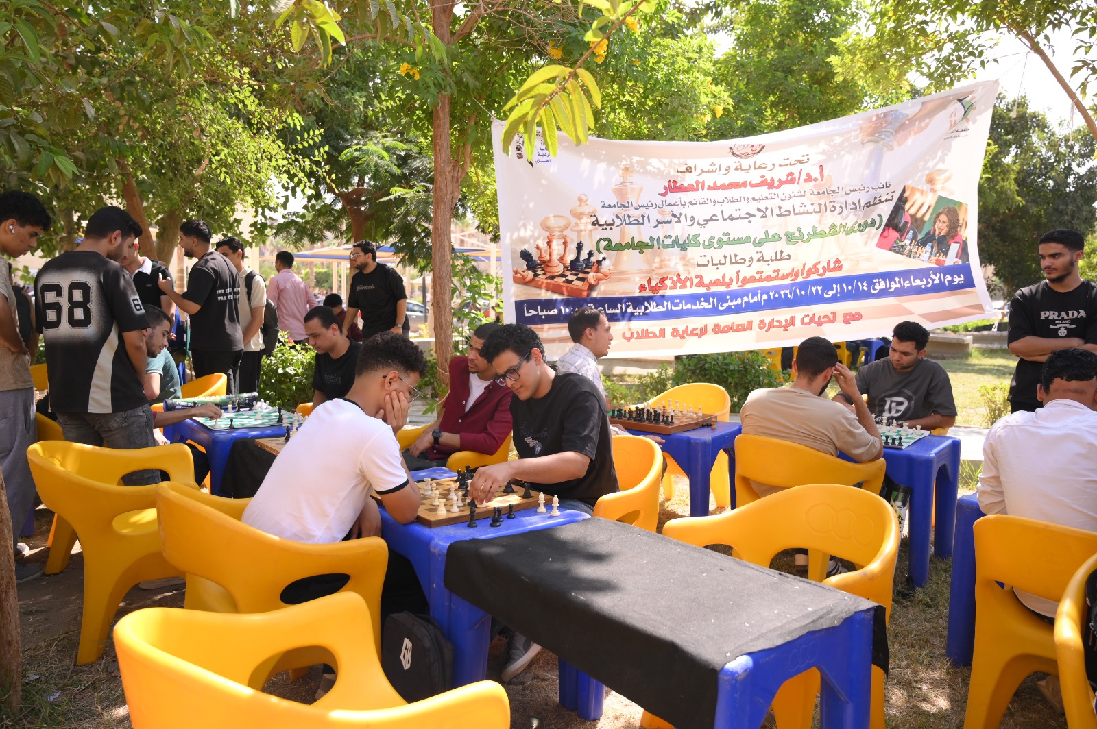 صورة الخبر