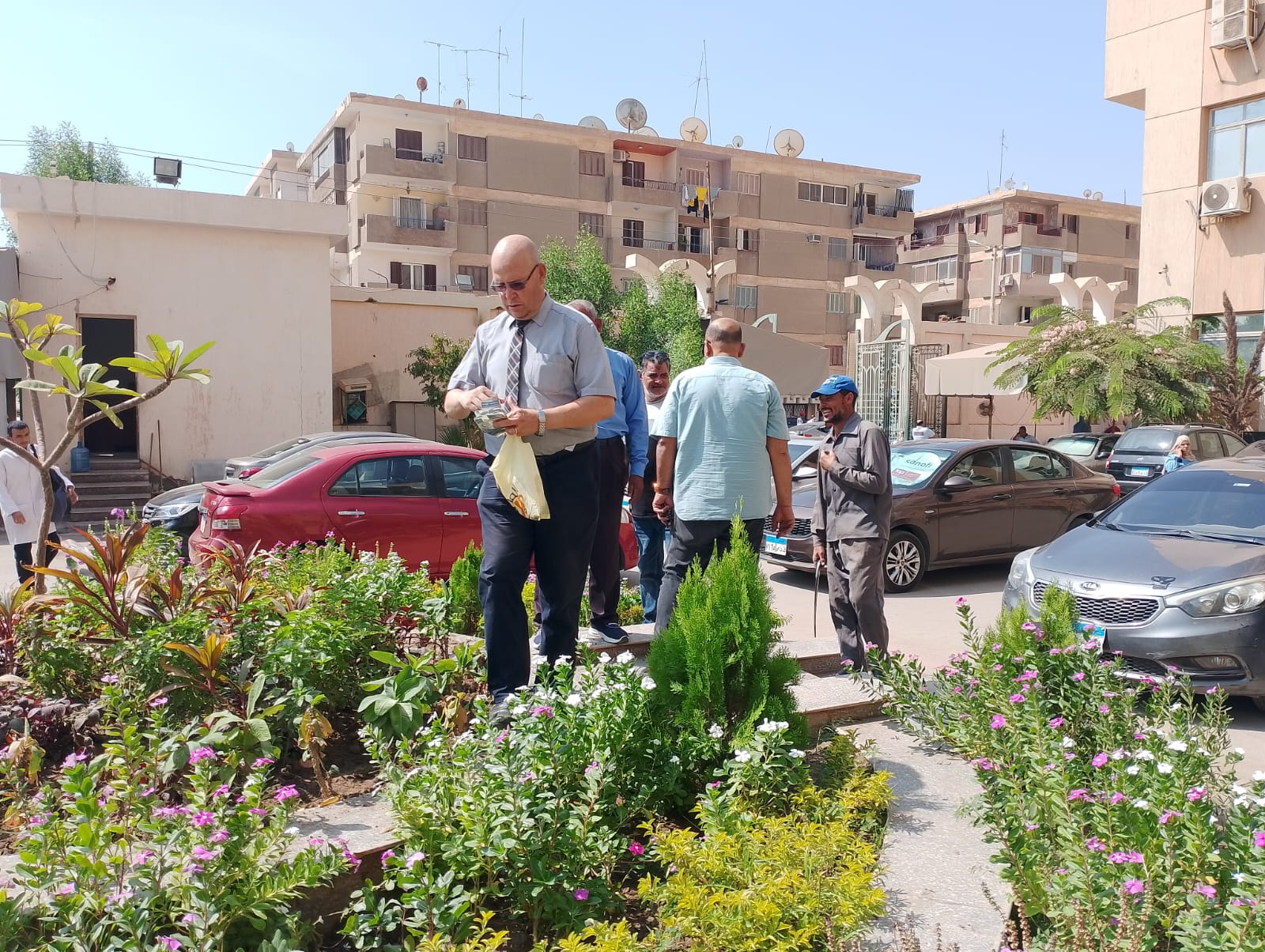 صورة الخبر