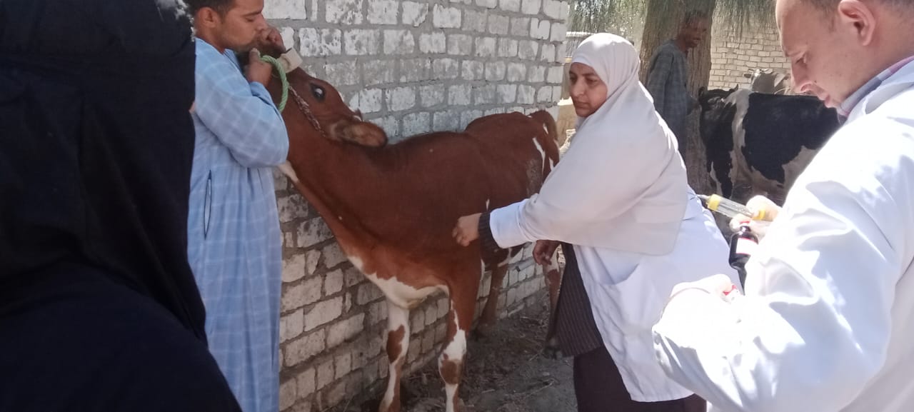 صورة الخبر