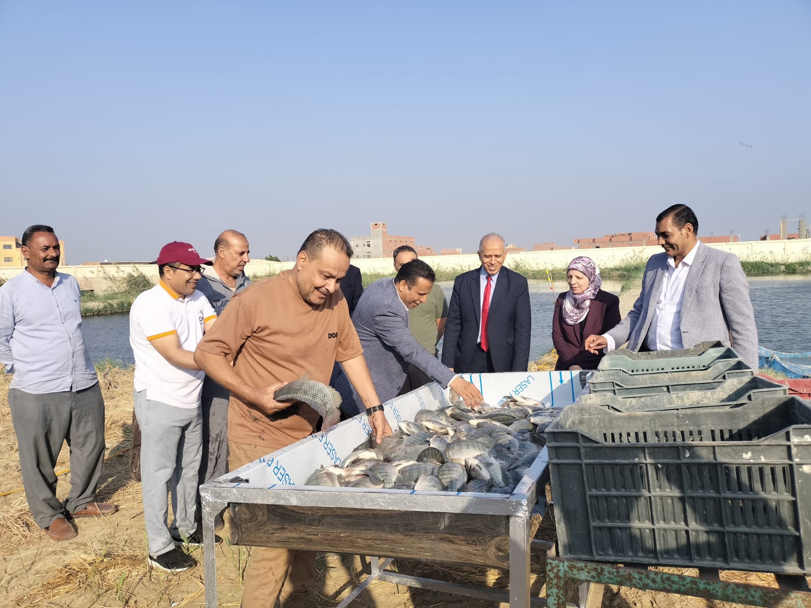 صورة الخبر