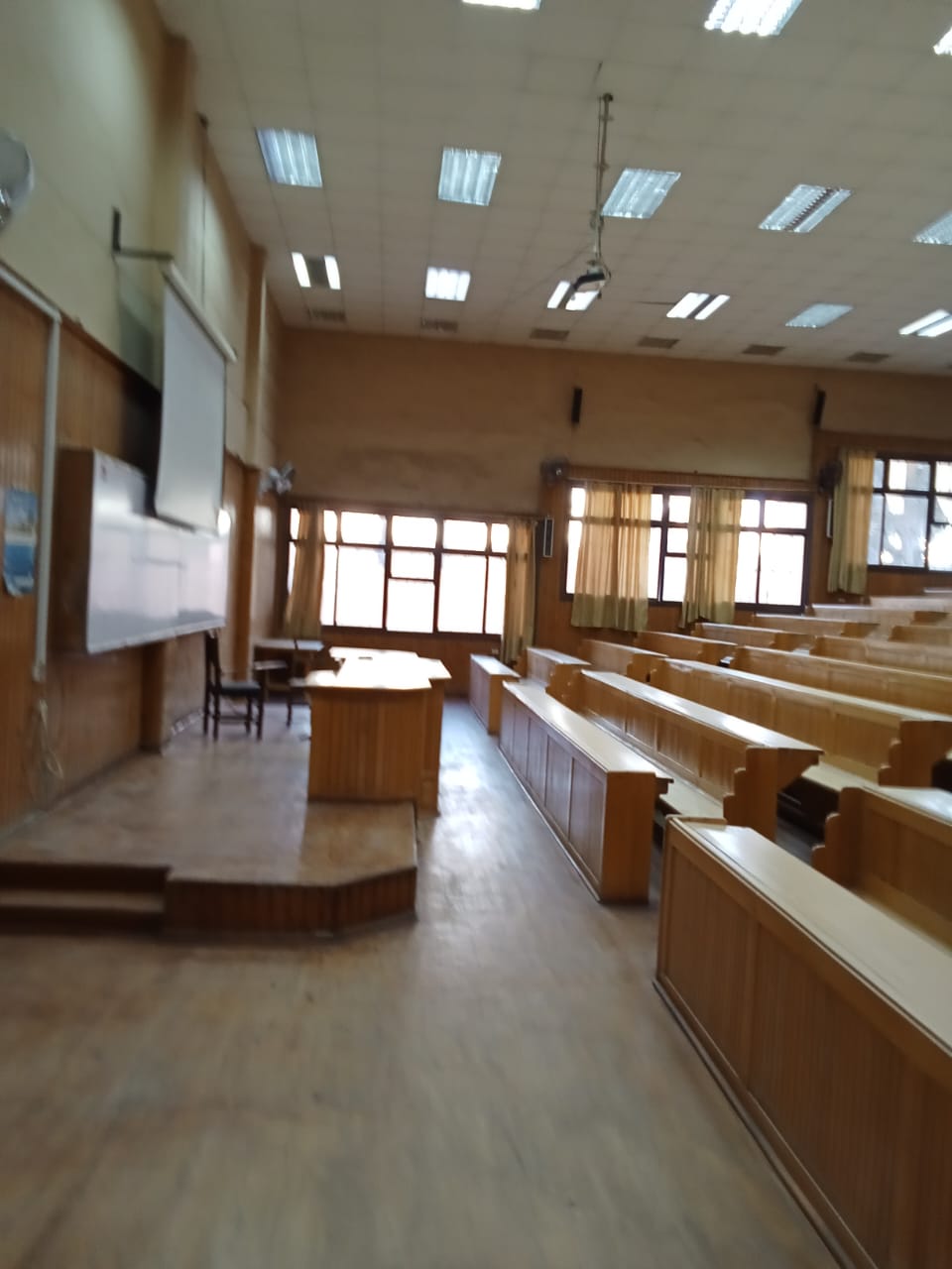صورة الخبر