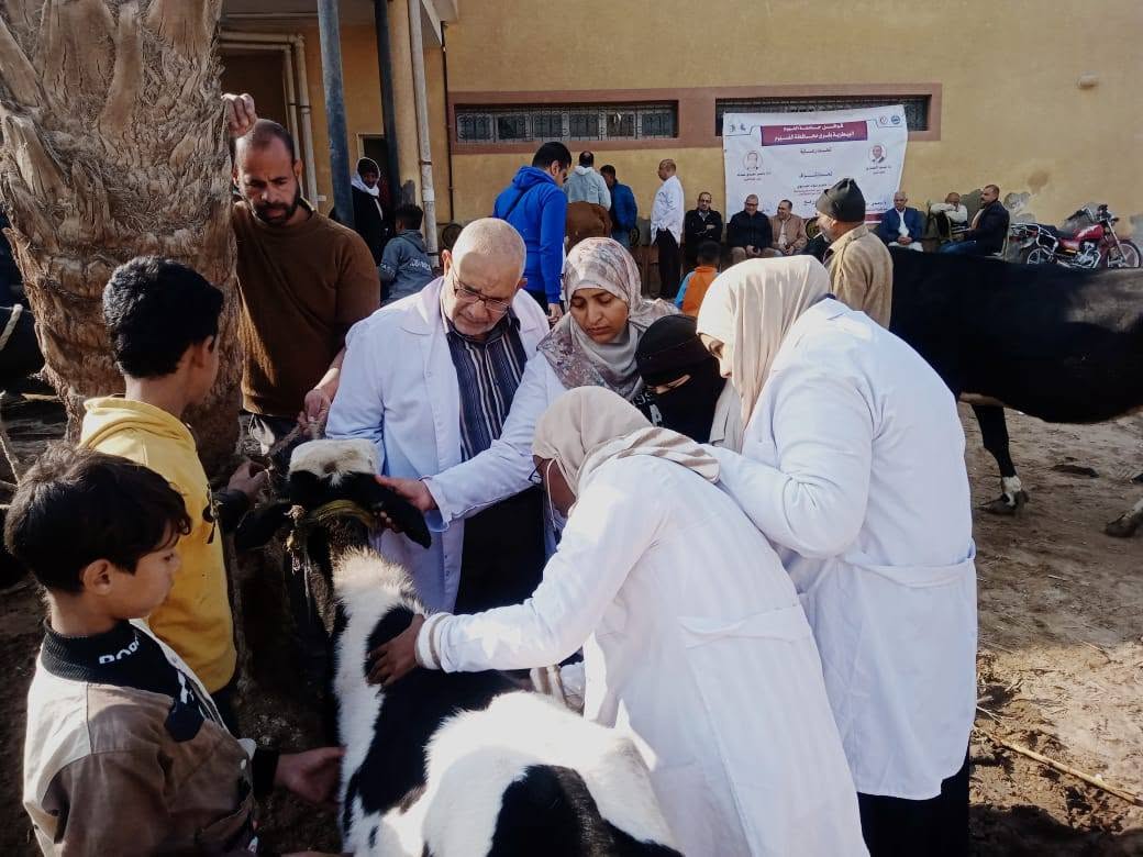 صورة الخبر