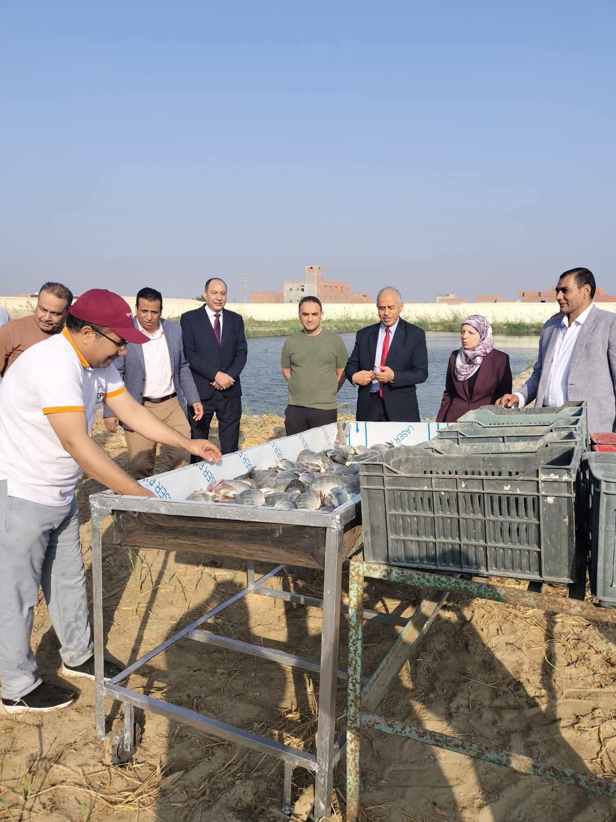 صورة الخبر