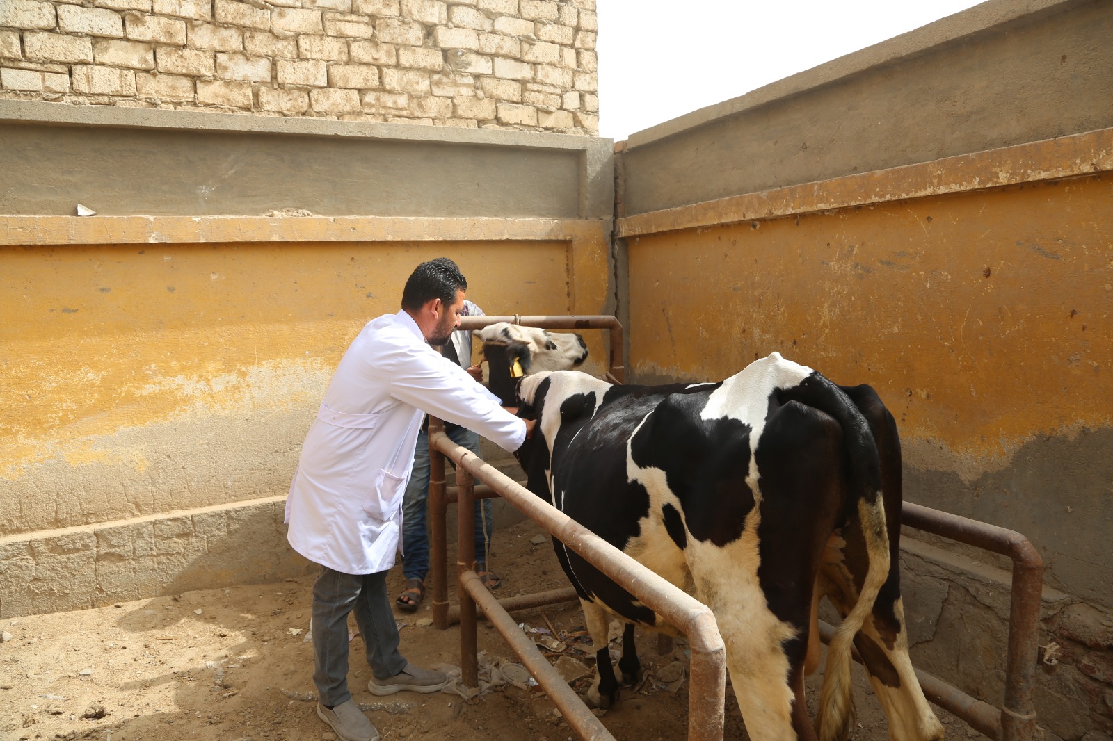صورة الخبر