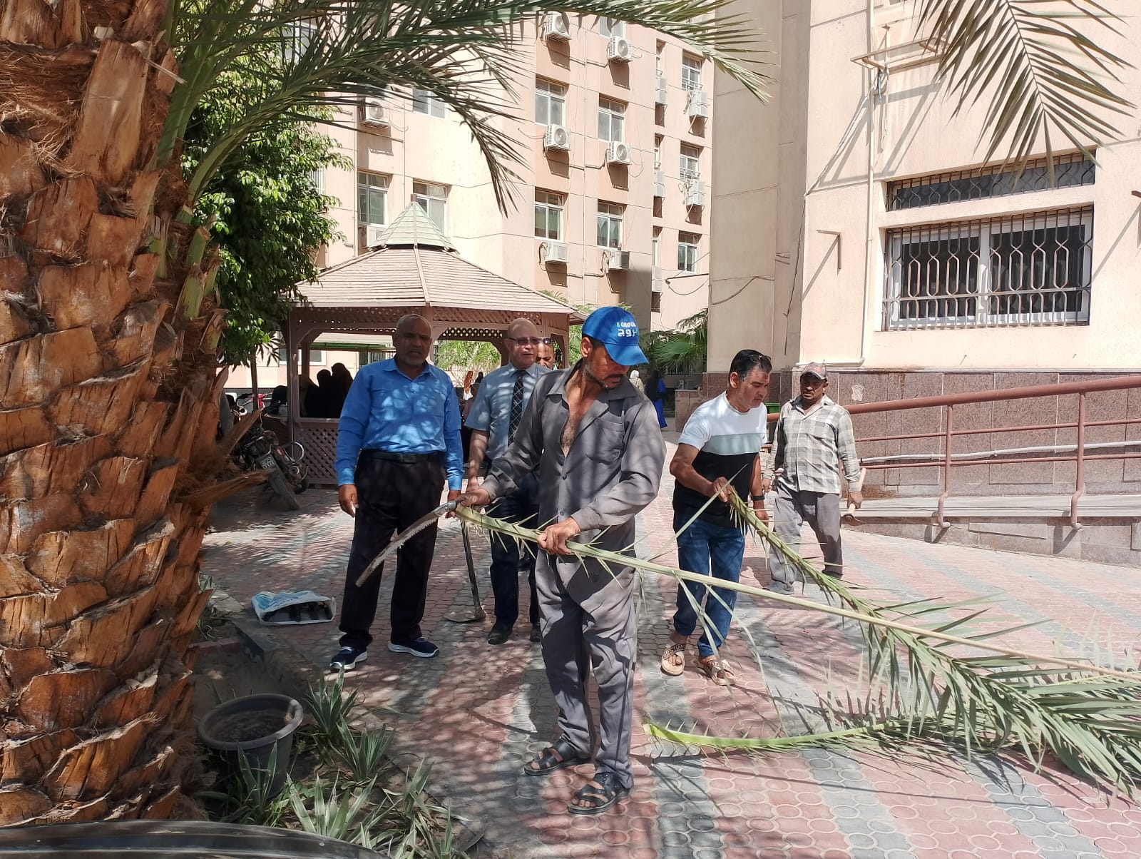 صورة الخبر