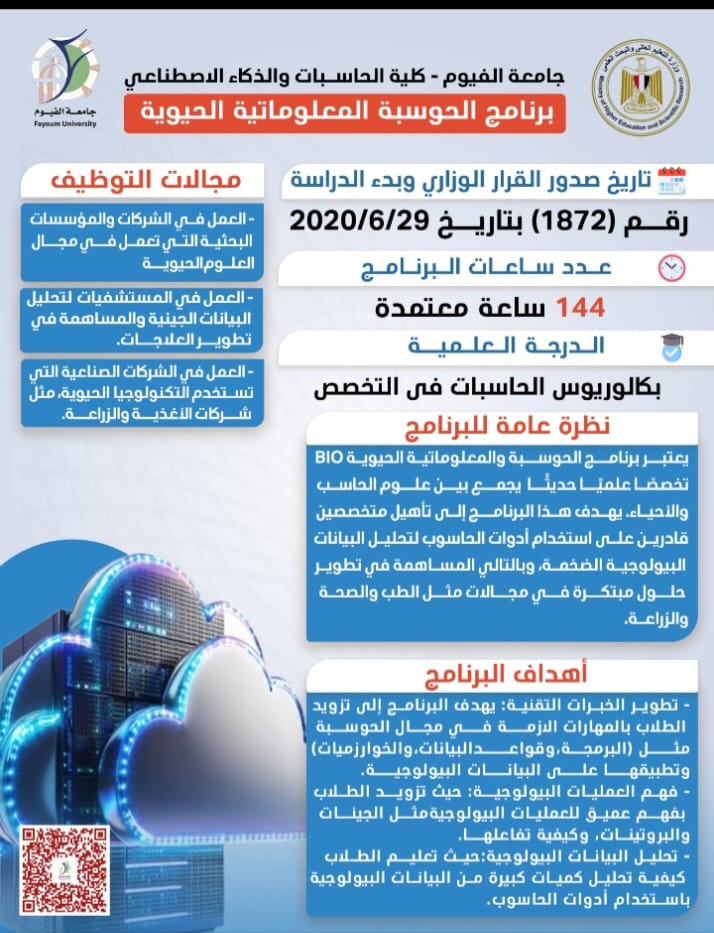 صورة الخبر