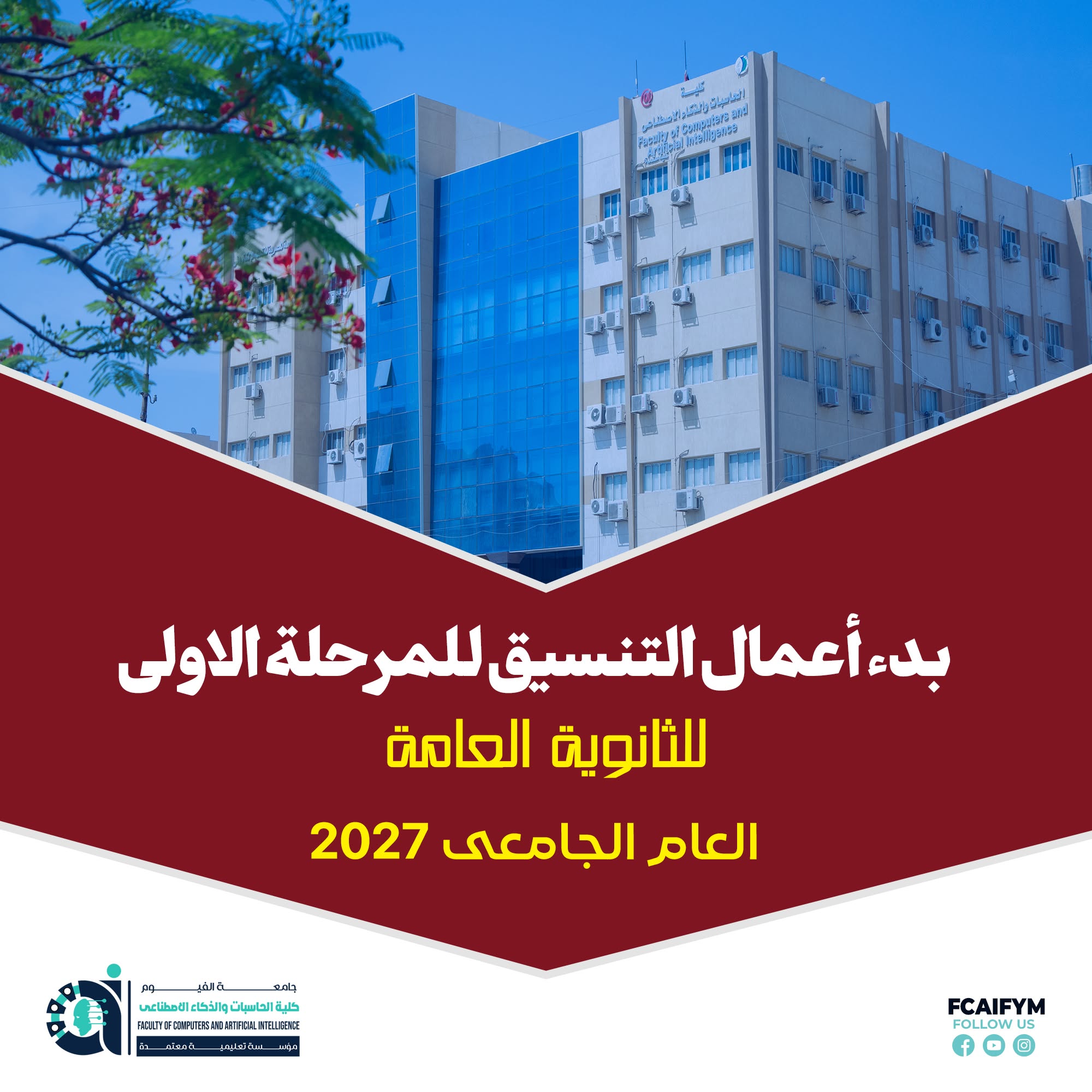 صورة الخبر
