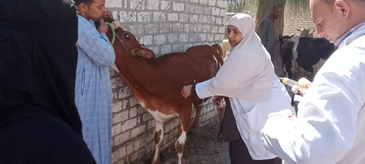 صورة الخبر