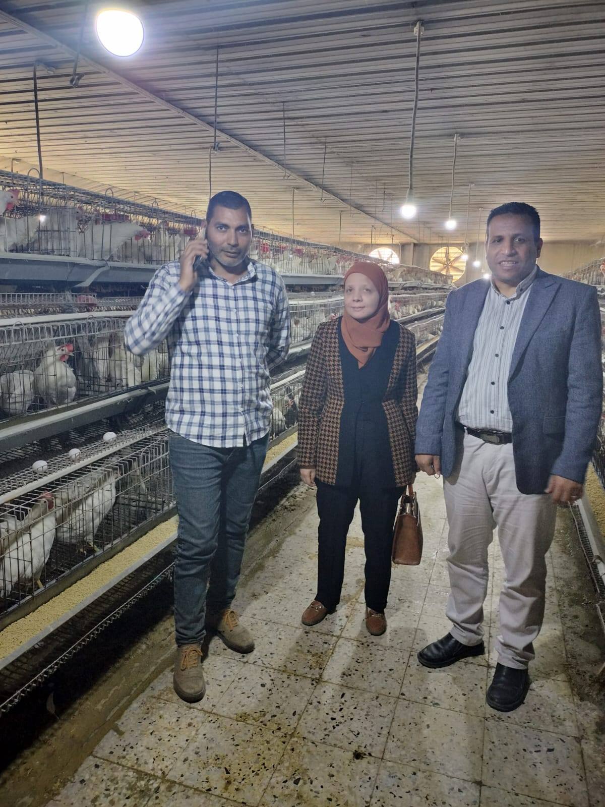 صورة الخبر