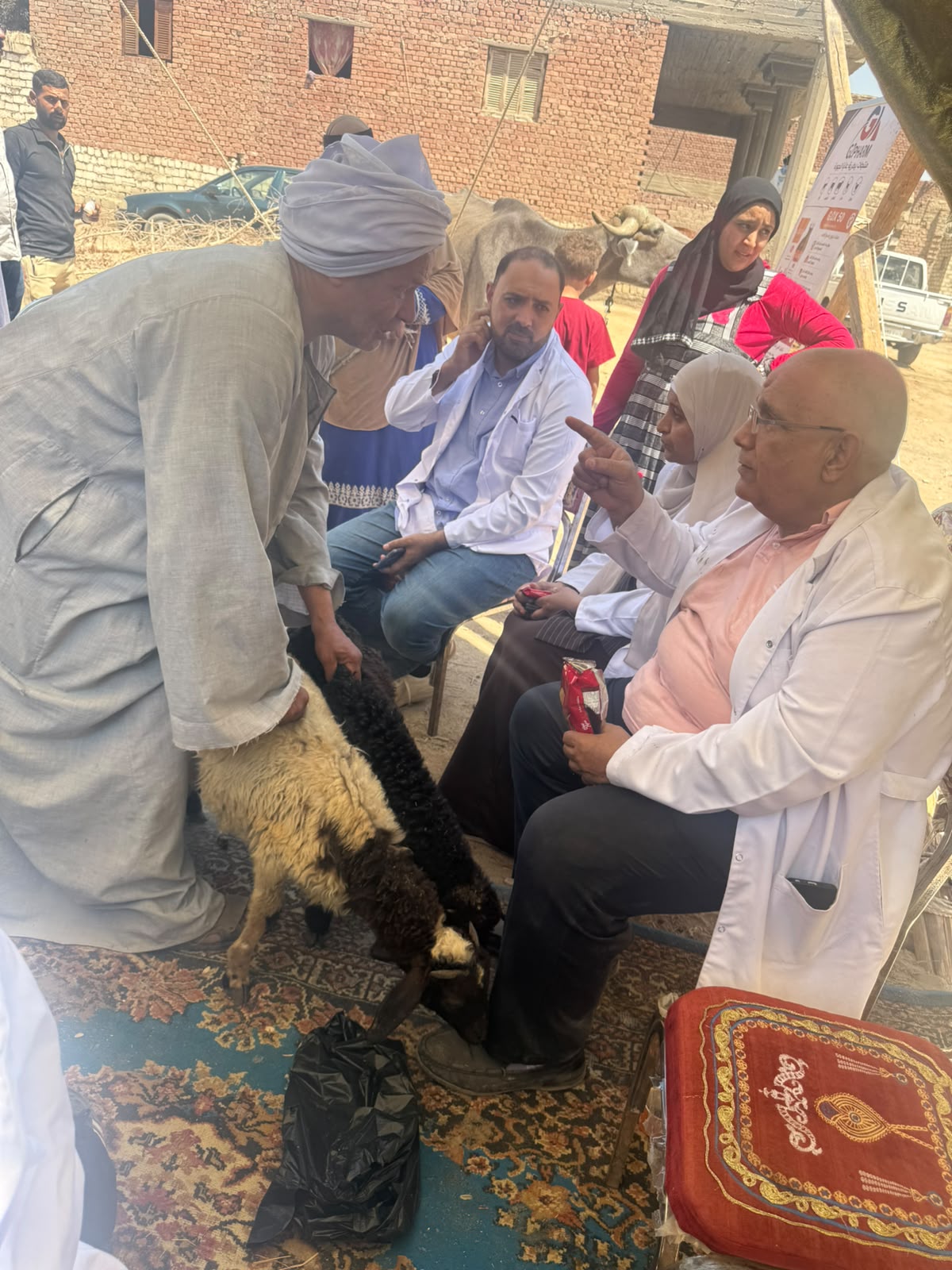 صورة الخبر
