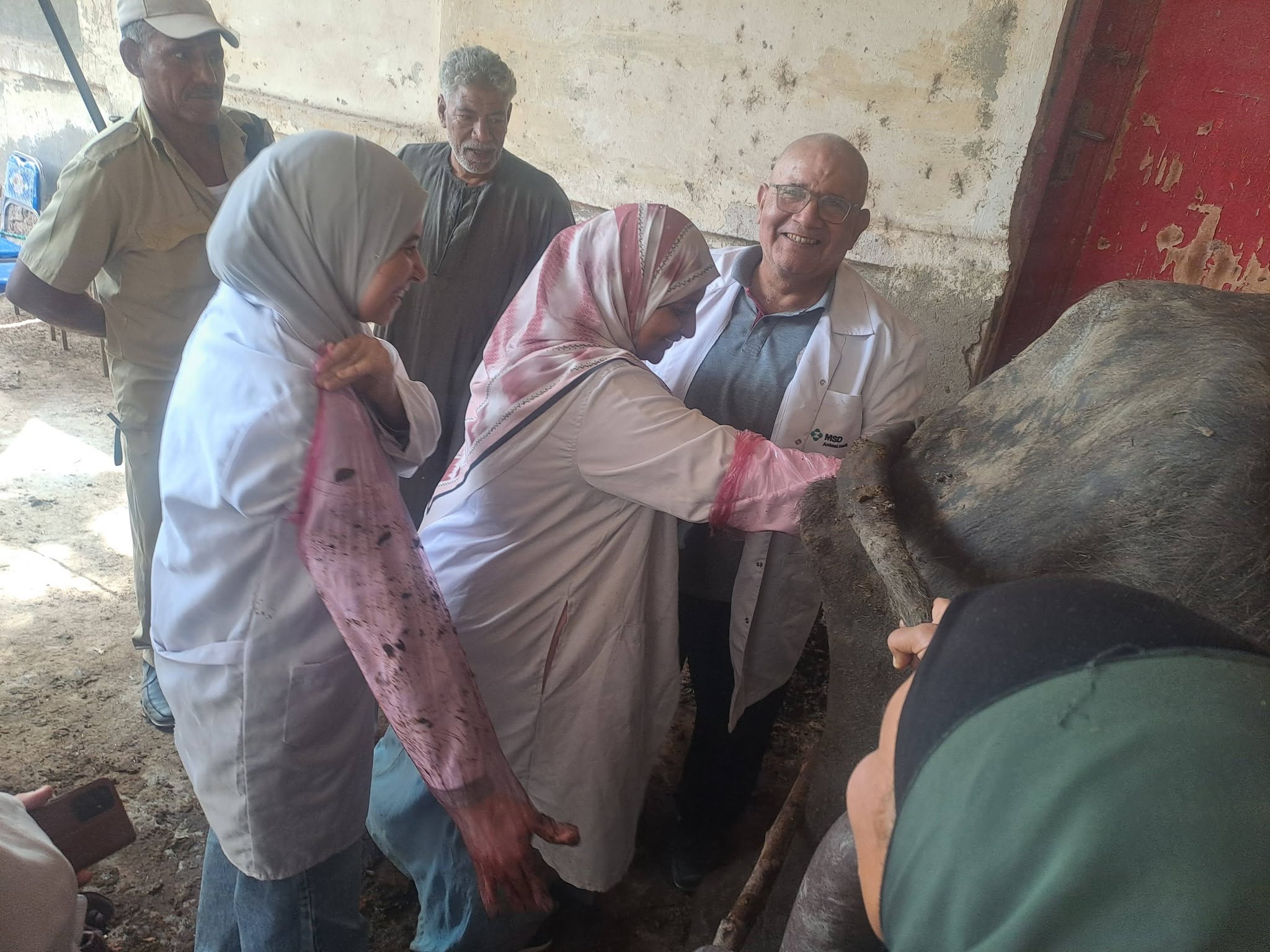 صورة الخبر