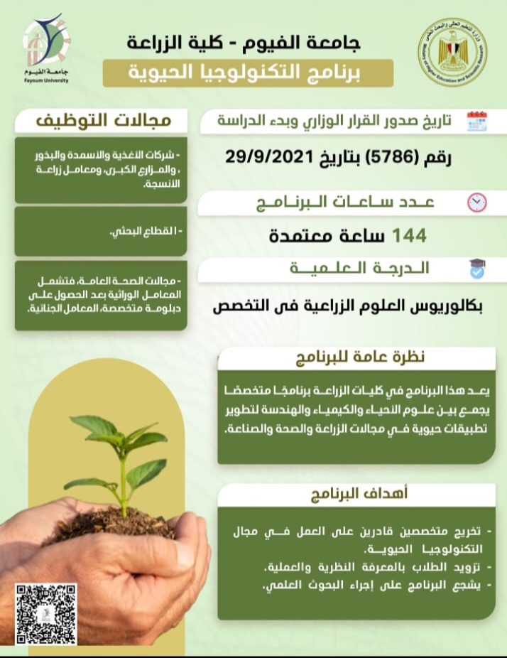 صورة الخبر