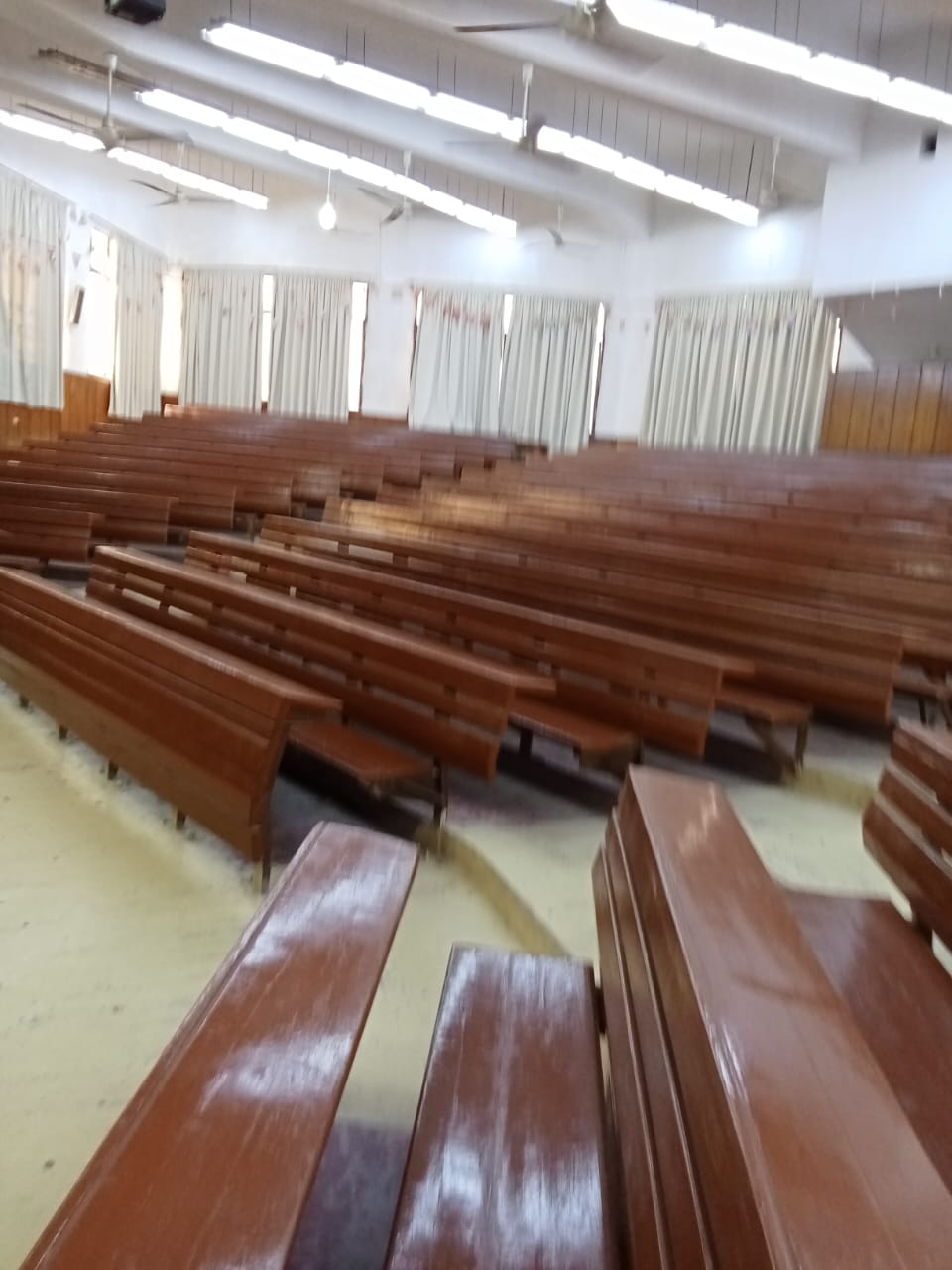 صورة الخبر