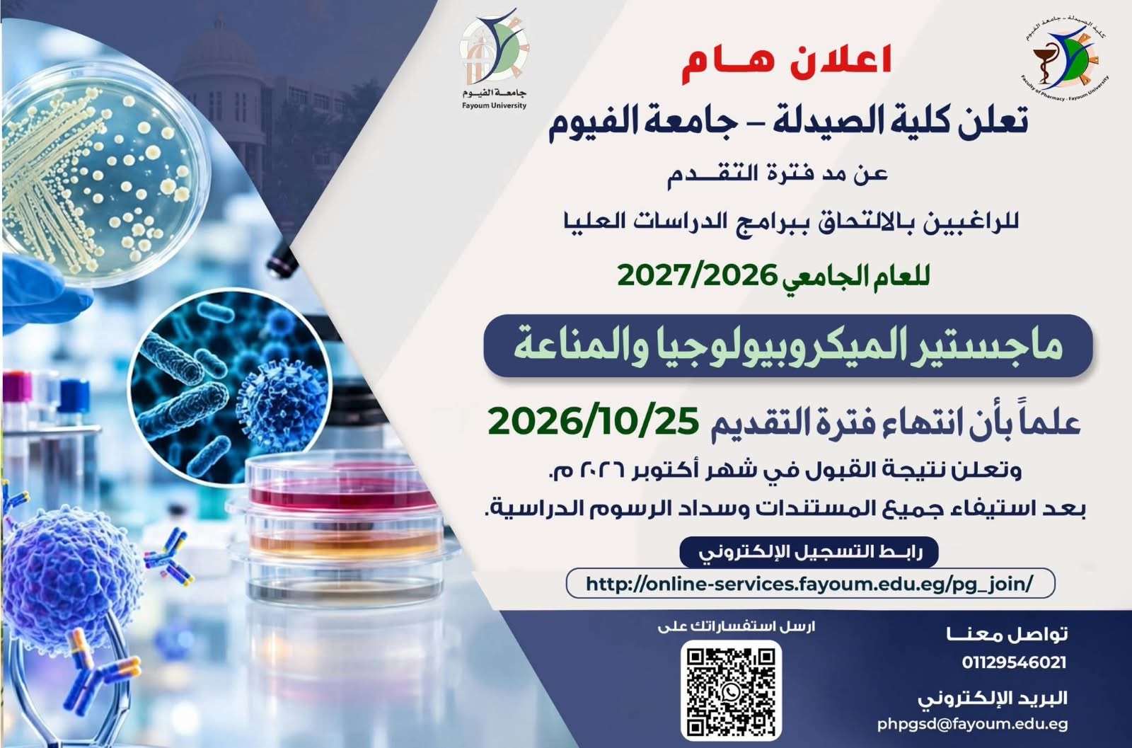 صورة الخبر