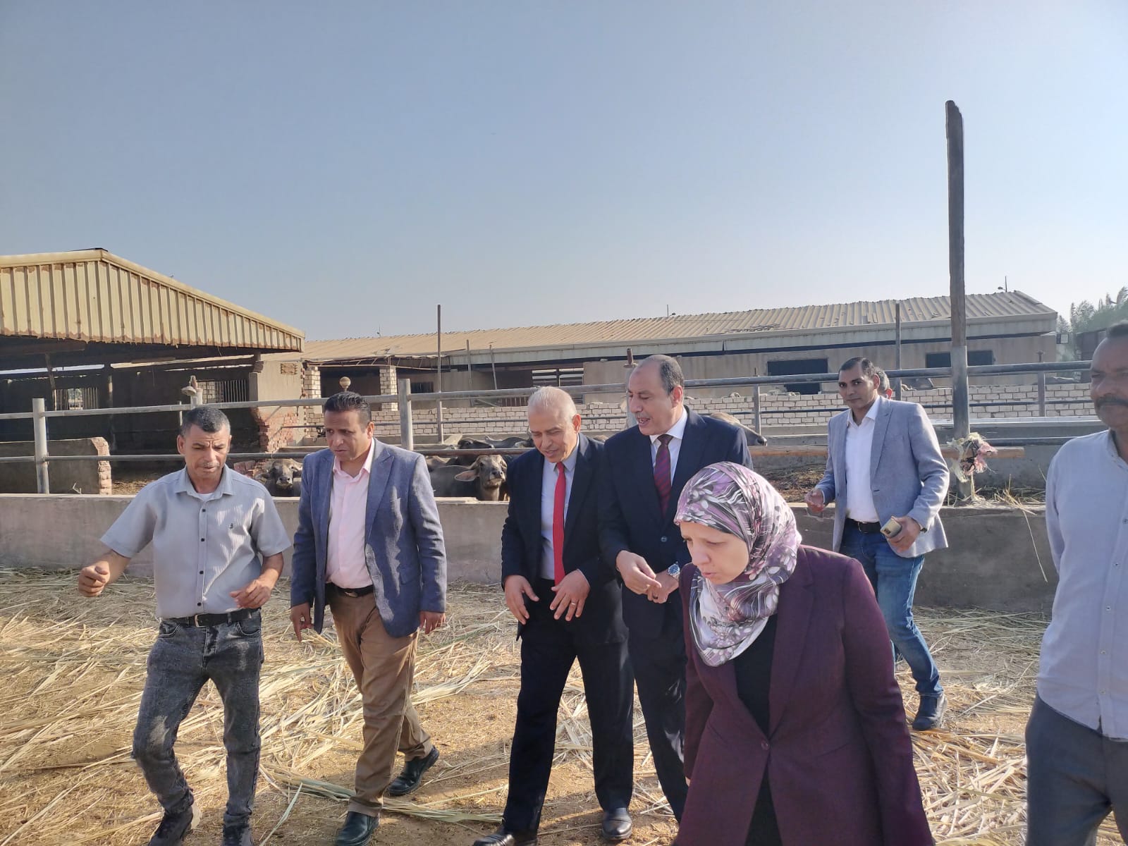 صورة الخبر
