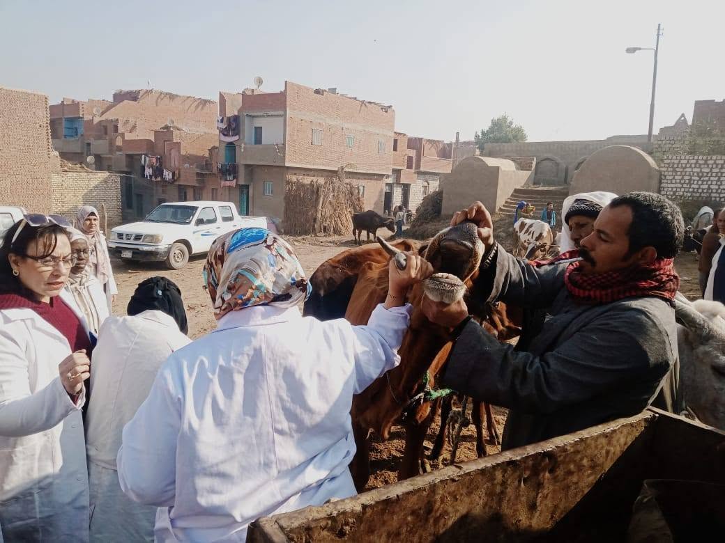 صورة الخبر