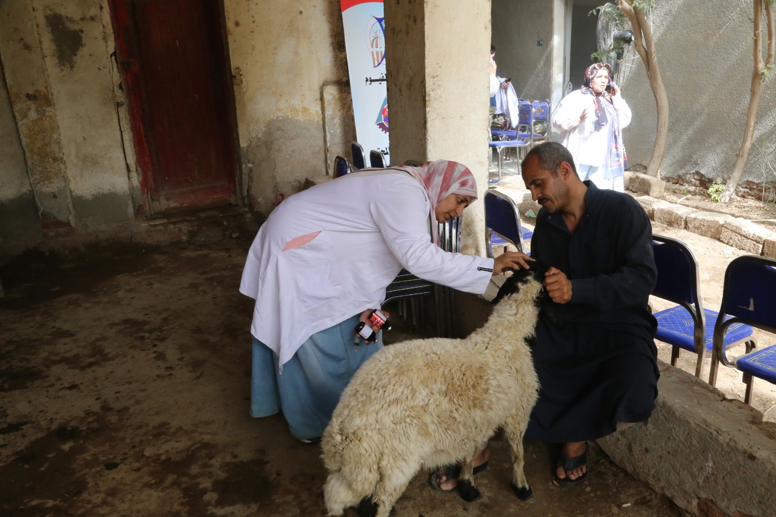 صورة الخبر