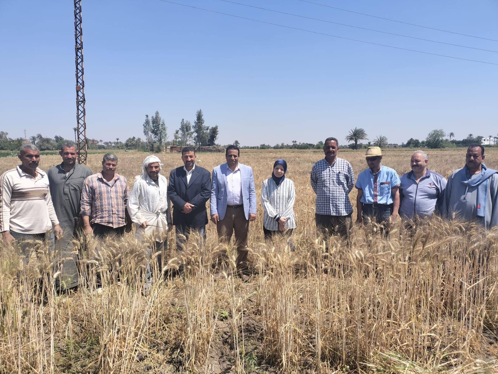 جولة تفقدية لمزرعة الكلية بدار رماد