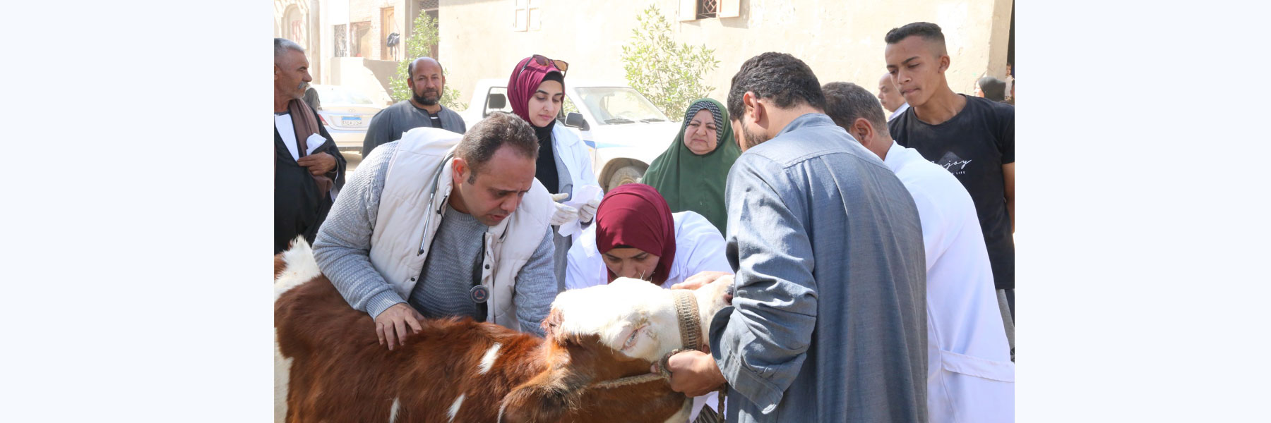 قافلة بيطرية تقدم خدمات الكشف والعلاج لـ ٤٧٥٧ حالة بيطرية لدعم صغار المربين بدمو