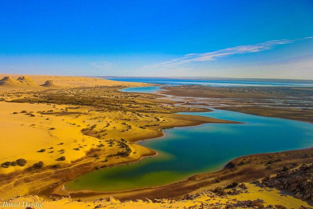 مشروع "ترسيخ الهوية الوطنية لمواجهة الإرهاب الفكري بحيرة قارون