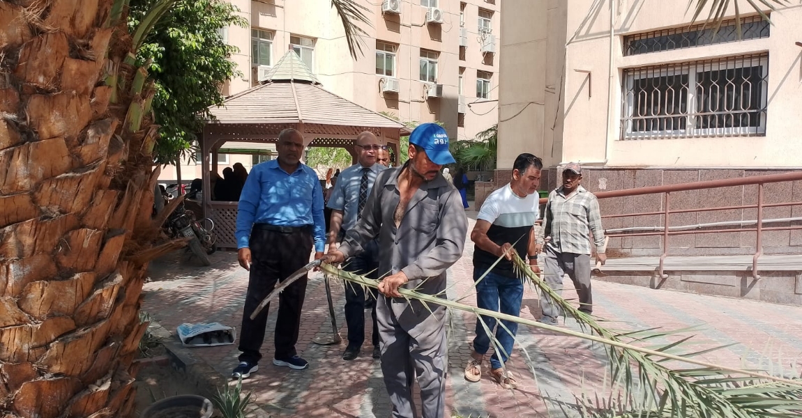 بدء تجميل حديقة كلية الطب استعدادا لفعاليات الاسبوع البيئي 