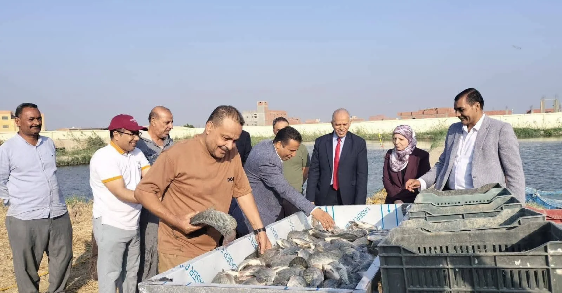 رئيس جامعة الفيوم يشهد انطلاق موسم صيد وحصاد الأسماك بمزارع كلية الزراعة