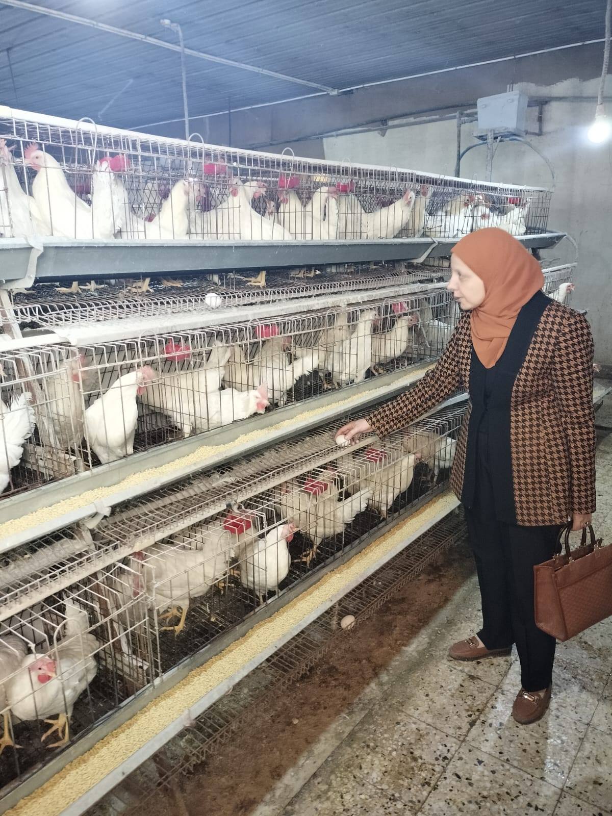 جولة تفقدية إلى مزرعة الكلية بدمو