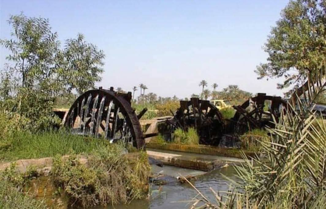 مشروع ترسبخ الهوية الوطنية من خلال محاربة الأرهاب الفكري  ( سواقي الفيوم)