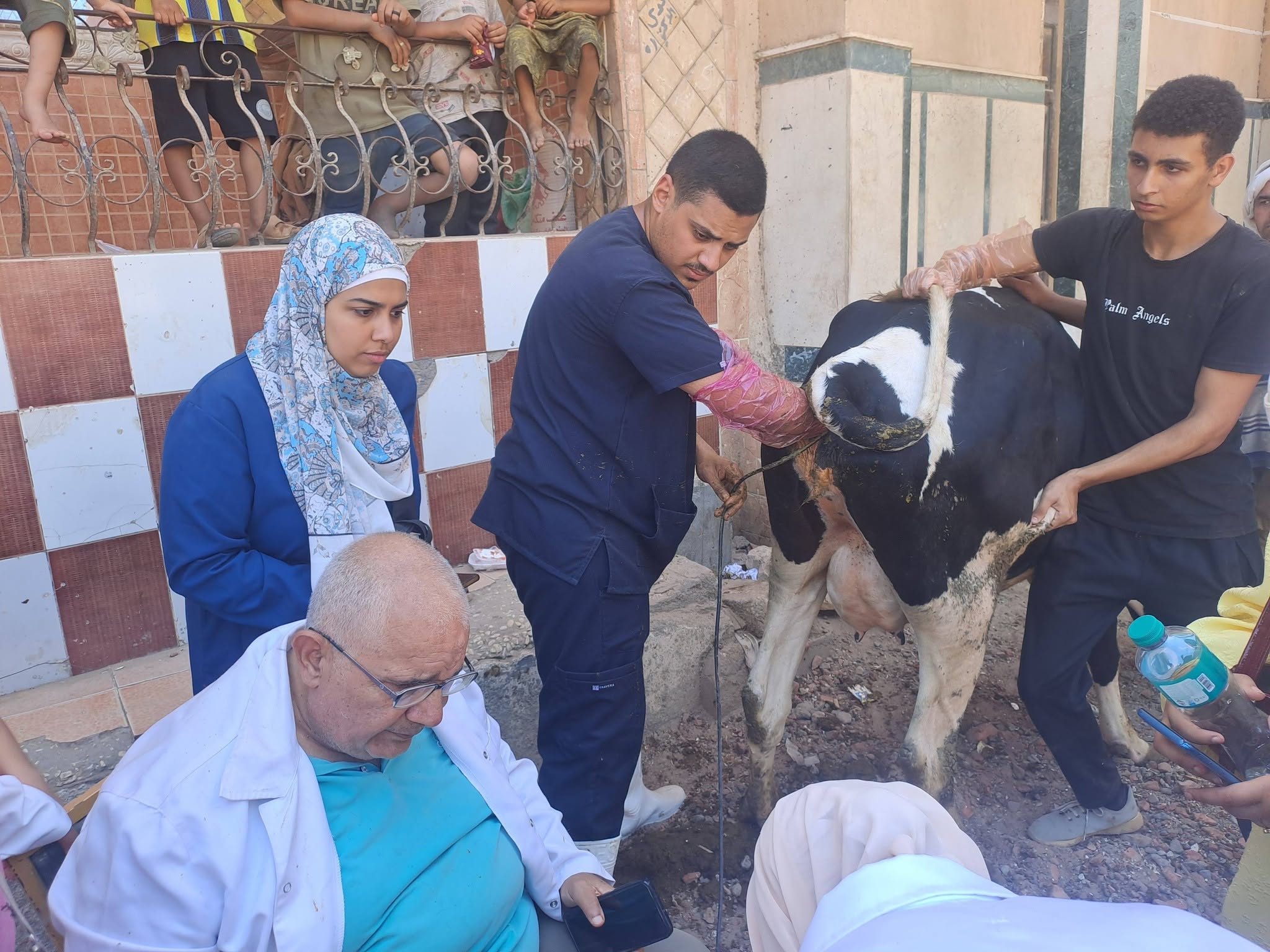 صورة الخبر