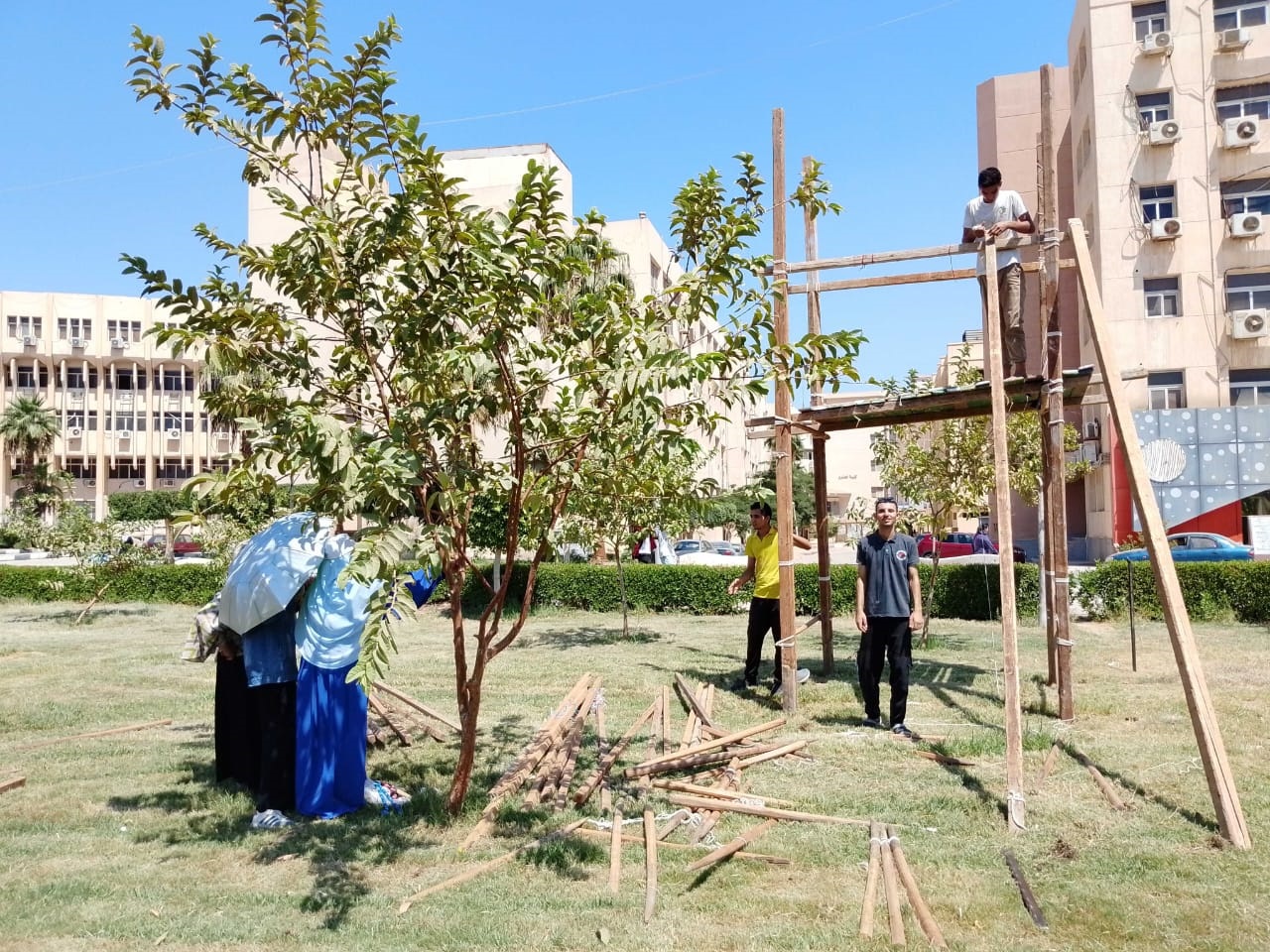 صورة الخبر