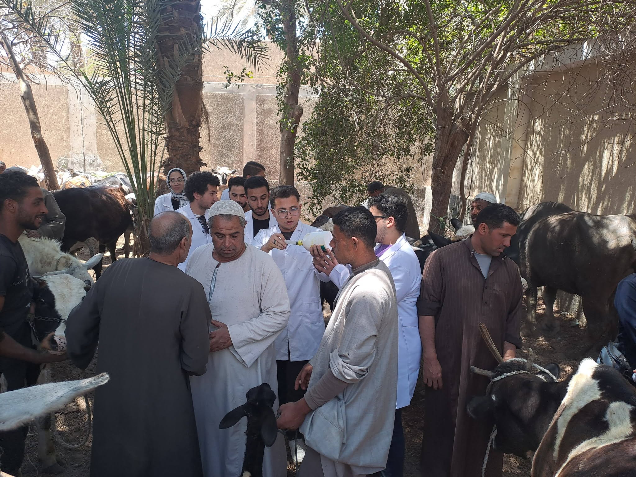 صورة الخبر