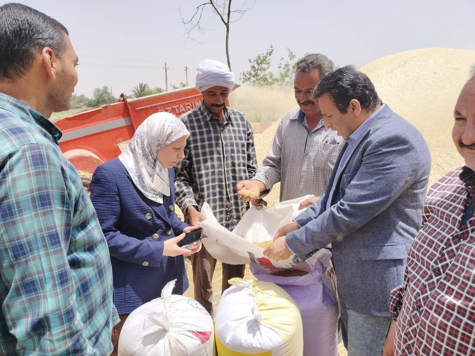 صورة الخبر