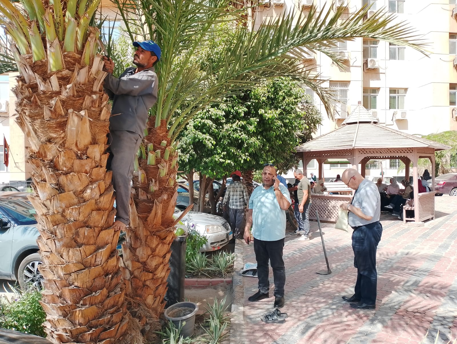 صورة الخبر