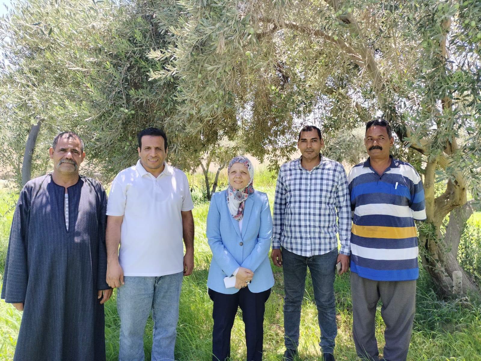صورة الخبر