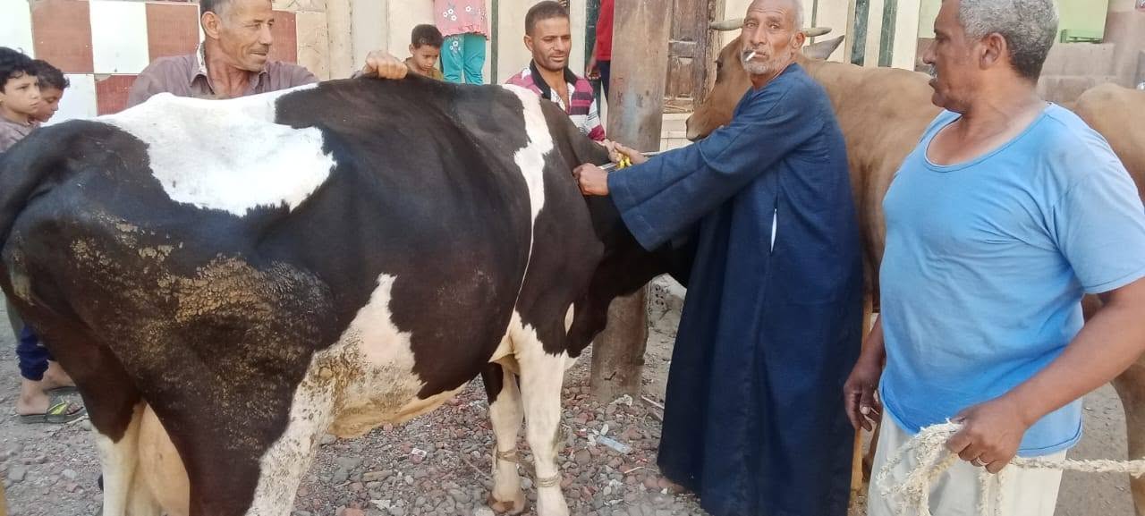 صورة الخبر