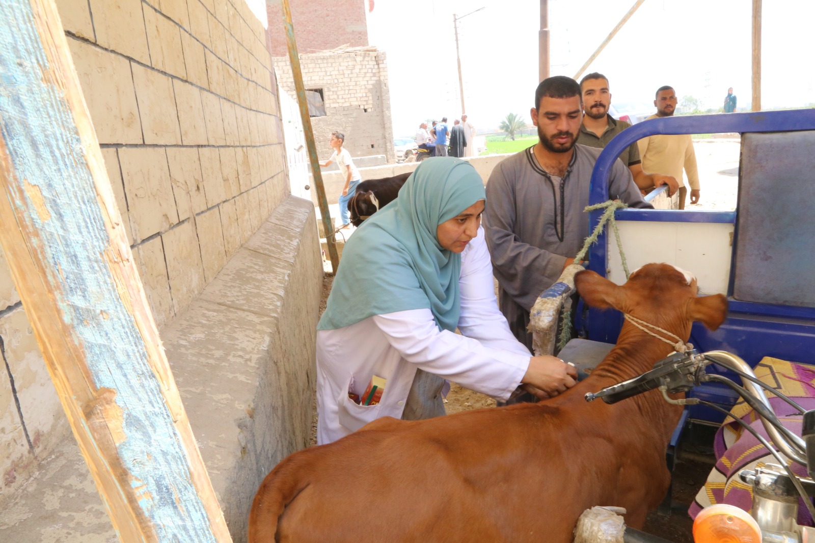 صورة الخبر