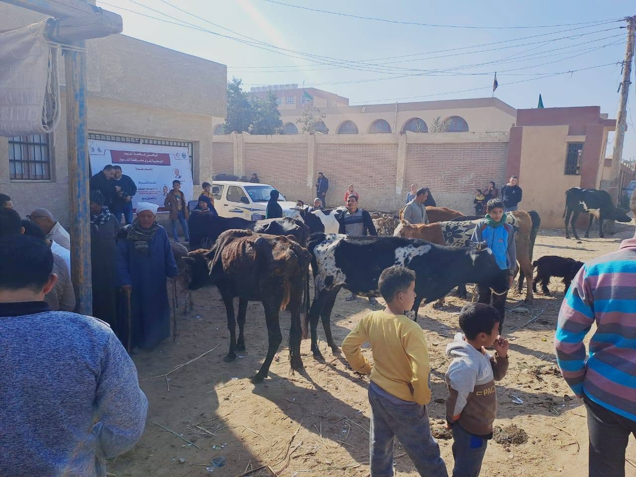 صورة الخبر