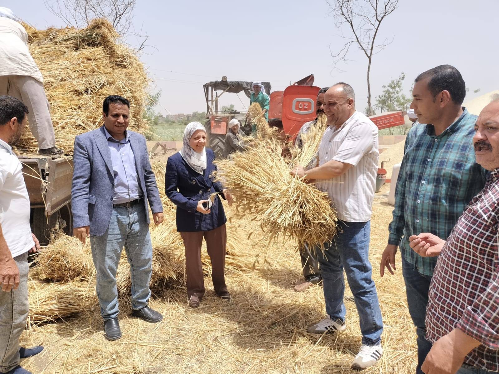 صورة الخبر
